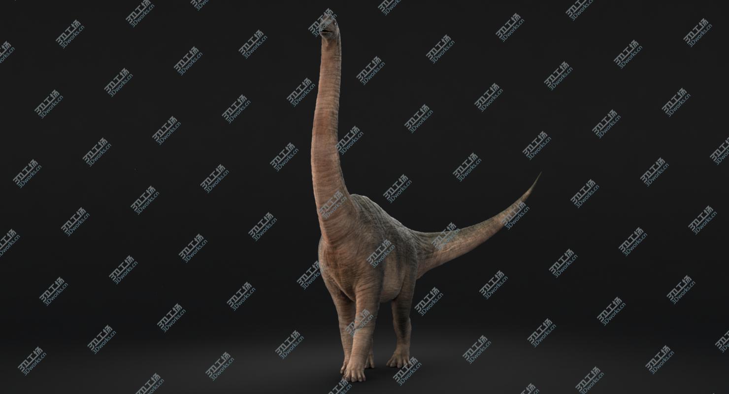 images/goods_img/2021040233/Brachiosaurus Rigged/5.jpg